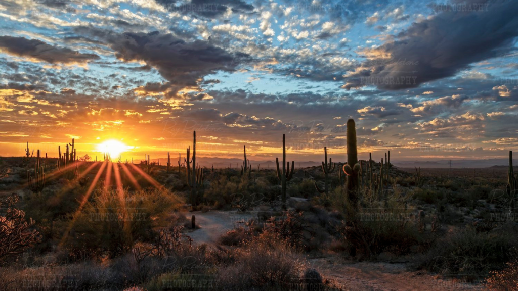 Who We Are, Arizona -- David Scott for AZ LD10
