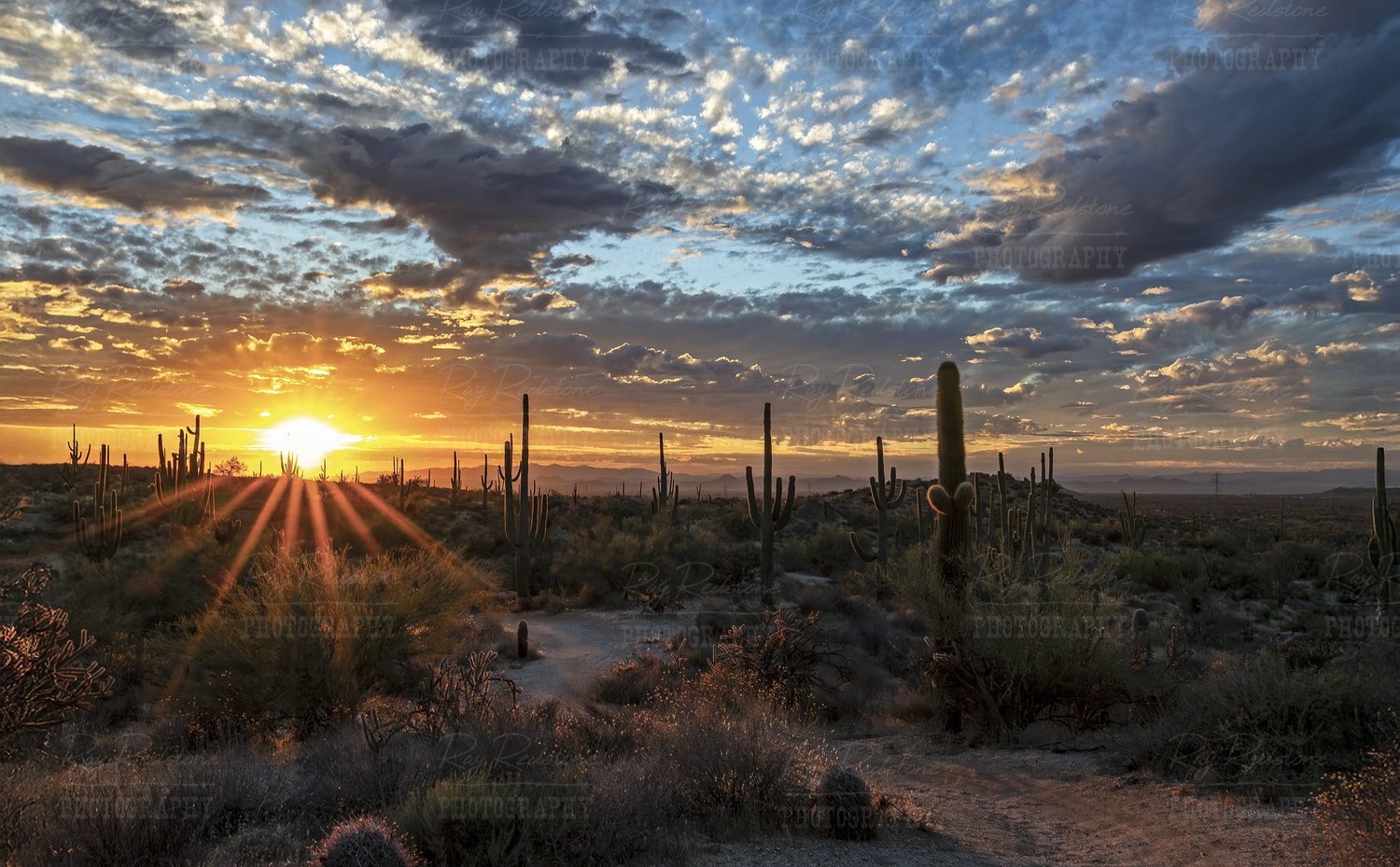 Who are we? David Scott for AZ LD10